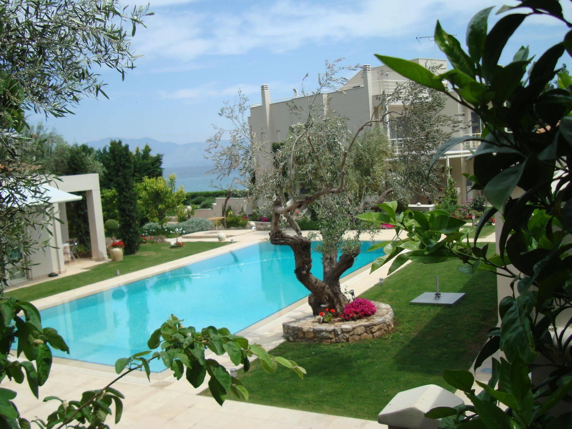 The Marble Resort Drosia  Bagian luar foto